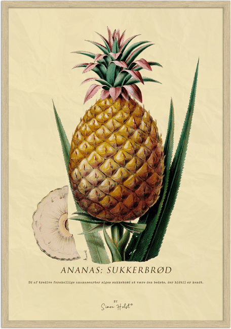 Ananas Plakat