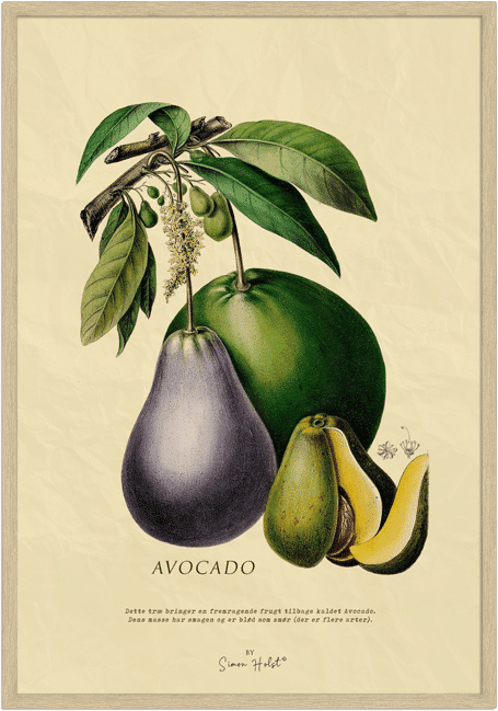 Avocado Plakat