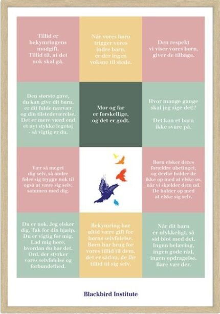 Blackbird Institute 3