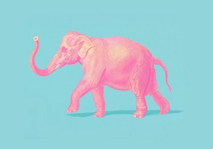 Elefant
