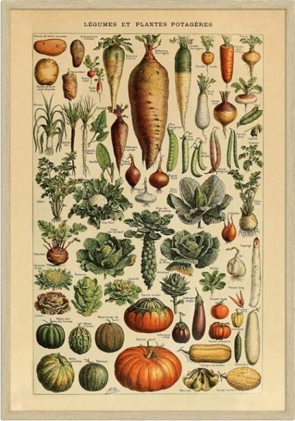 Grøntsager - Adolphe Millot