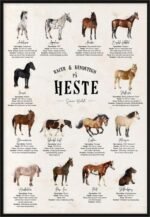 Plakat med hesteracer