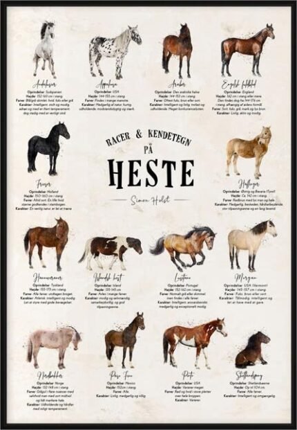 Plakat med hesteracer