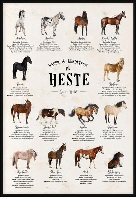 Plakat med hesteracer