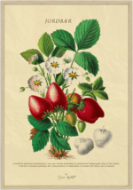 Jordbær Plakat