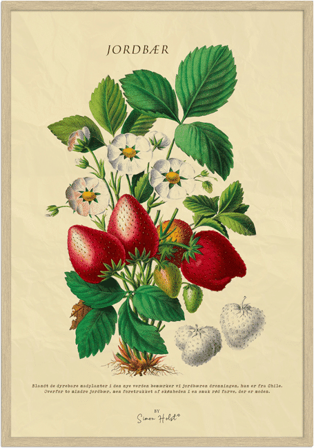 Jordbær Plakat