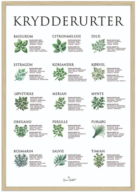 Krydderurte Plakat